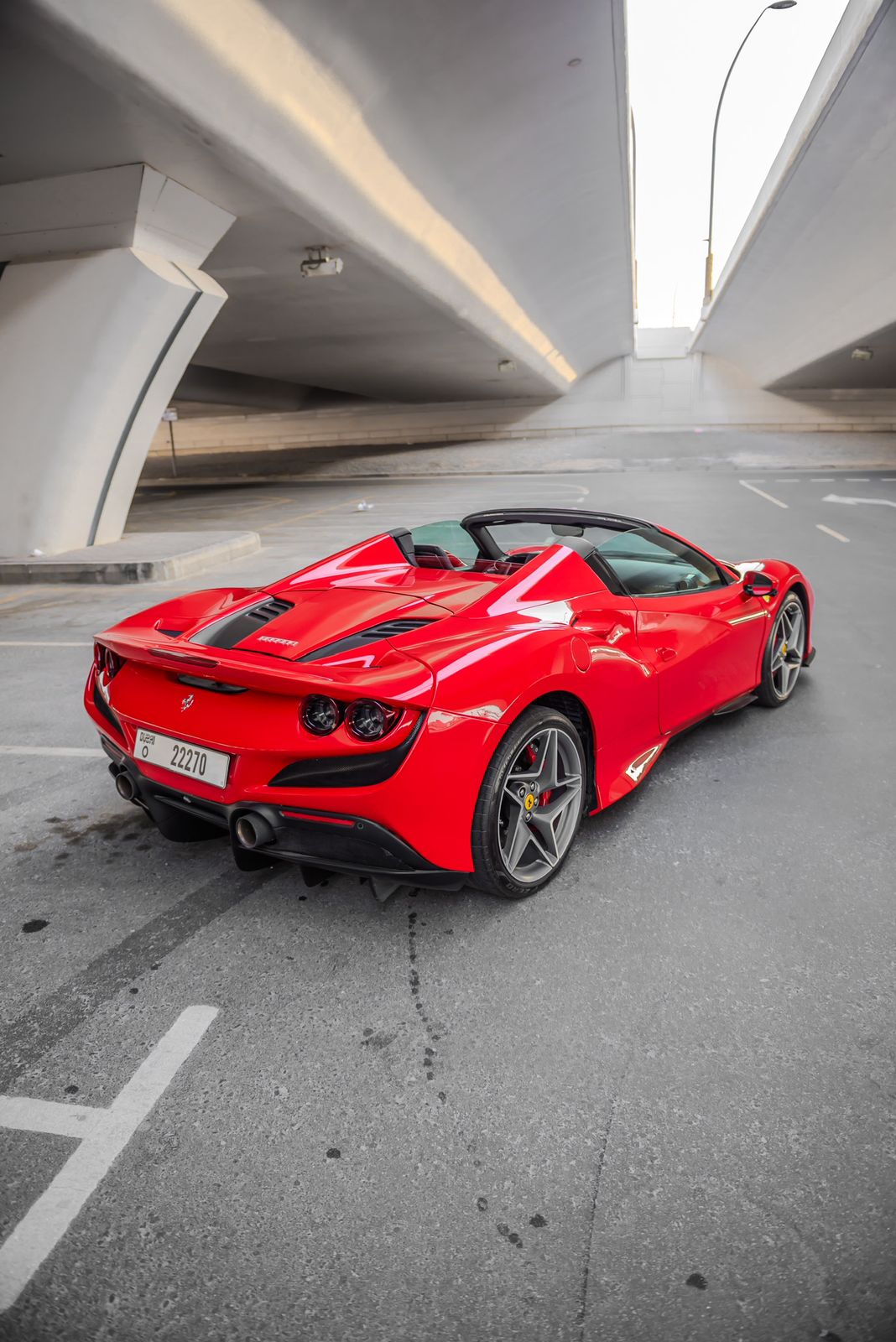 f8 spider 6